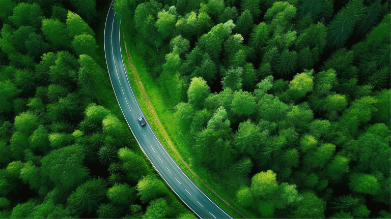 Image of a car driving through a quiet forest road